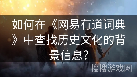 如何在《网易有道词典》中查找历史文化的背景信息？