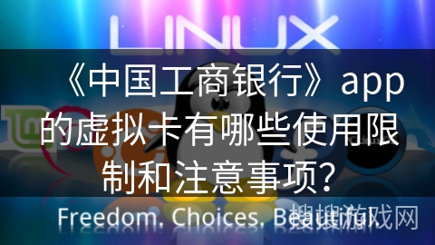 《中国工商银行》app的虚拟卡有哪些使用限制和注意事项？