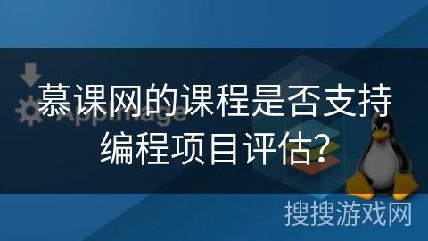 慕课网的课程是否支持编程项目评估？