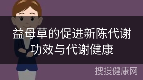 益母草的促进新陈代谢功效与代谢健康