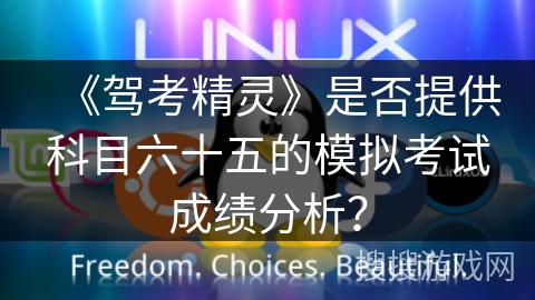 《驾考精灵》是否提供科目六十五的模拟考试成绩分析？