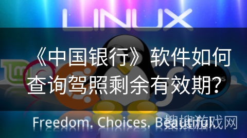 《中国银行》软件如何查询驾照剩余有效期？
