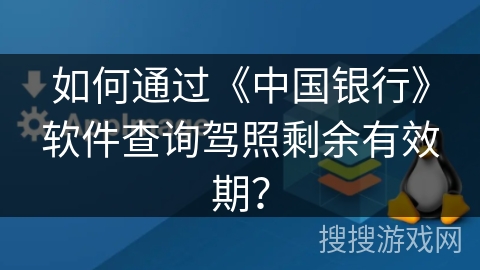 如何通过《中国银行》软件查询驾照剩余有效期？
