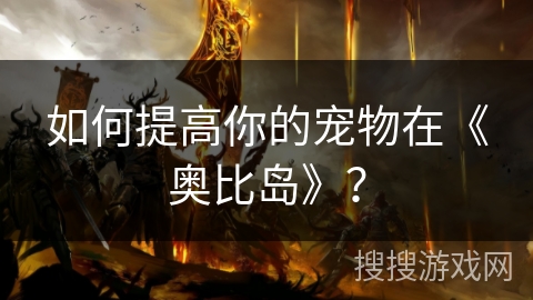 如何提高你的宠物在《奥比岛》？