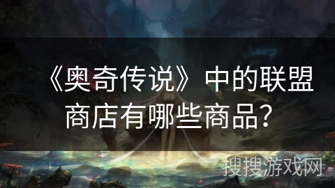 《奥奇传说》中的联盟商店有哪些商品？