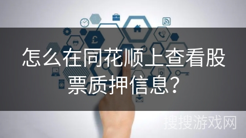 怎么在同花顺上查看股票质押信息？