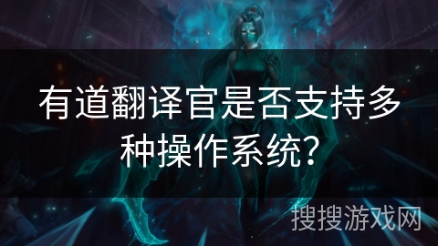 有道翻译官是否支持多种操作系统？