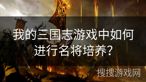我的三国志游戏中如何进行名将培养？