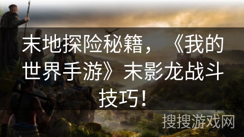 末地探险秘籍，《我的世界手游》末影龙战斗技巧！
