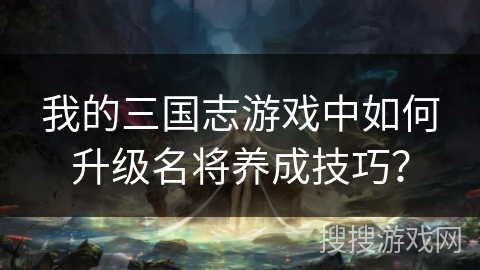 我的三国志游戏中如何升级名将养成技巧? 我的三国志游戏中如何升级名将养成技巧?