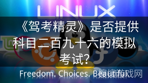 《驾考精灵》是否提供科目二百九十六的模拟考试？