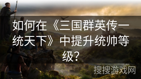 如何在《三国群英传一统天下》中提升统帅等级？