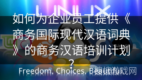 如何为企业员工提供《商务国际现代汉语词典》的商务汉语培训计划？
