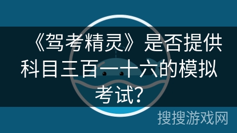 《驾考精灵》是否提供科目三百一十六的模拟考试？