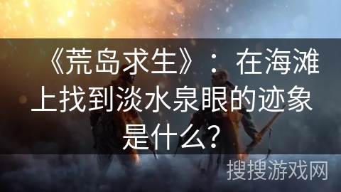 《荒岛求生》：在海滩上找到淡水泉眼的迹象是什么？