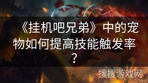 《挂机吧兄弟》中的宠物如何提高技能触发率？