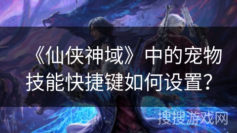 《仙侠神域》中的宠物技能快捷键如何设置？