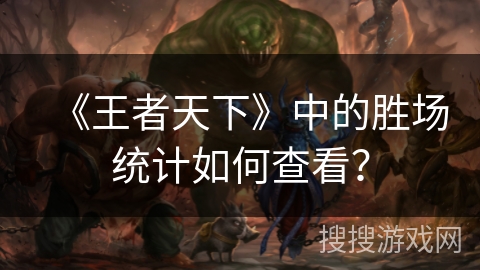 《王者天下》中的胜场统计如何查看？