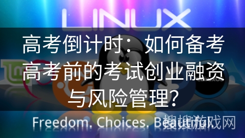 高考倒计时：如何备考高考前的考试创业融资与风险管理？