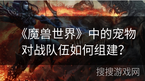 《魔兽世界》中的宠物对战队伍如何组建？