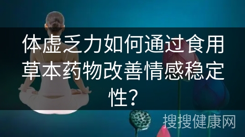 体虚乏力如何通过食用草本药物改善情感稳定性？