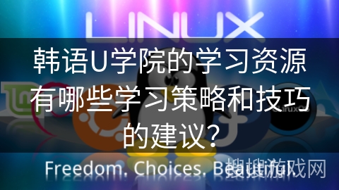 韩语U学院的学习资源有哪些学习策略和技巧的建议? 韩语U学院的学习资源有哪些学习策略和技巧的建议?
