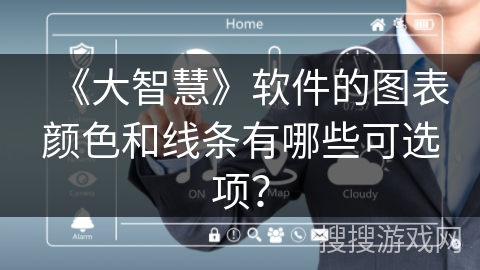 《大智慧》软件的图表颜色和线条有哪些可选项？