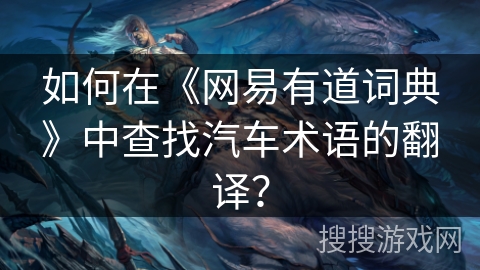 如何在《网易有道词典》中查找汽车术语的翻译？