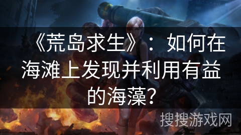 《荒岛求生》：如何在海滩上发现并利用有益的海藻？