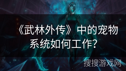 《武林外传》中的宠物系统如何工作？