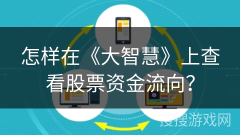 怎样在《大智慧》上查看股票资金流向？