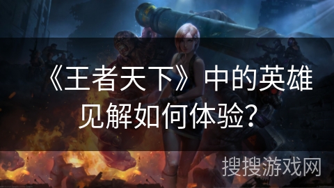《王者天下》中的英雄见解如何体验？