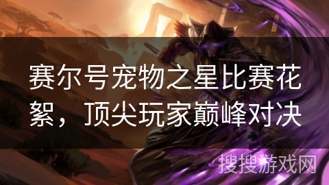 赛尔号宠物之星比赛花絮，顶尖玩家巅峰对决