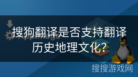 搜狗翻译是否支持翻译历史地理文化？