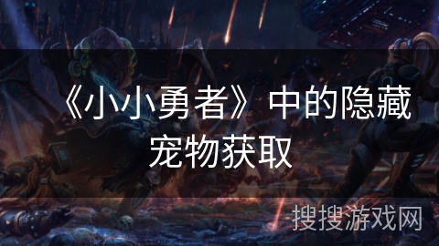 《小小勇者》中的隐藏宠物获取