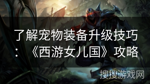 了解宠物装备升级技巧：《西游女儿国》攻略