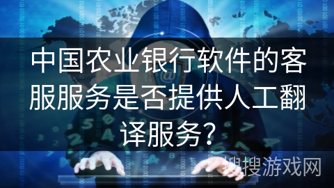 中国农业银行软件的客服服务是否提供人工翻译服务？