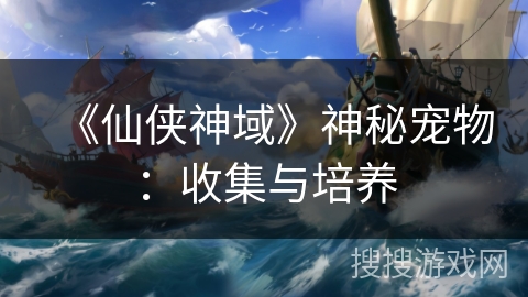 《仙侠神域》神秘宠物：收集与培养