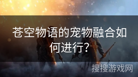 苍空物语的宠物融合如何进行？