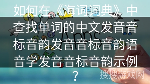 如何在《海词词典》中查找单词的中文发音音标音韵发音音标音韵语音学发音音标音韵示例？