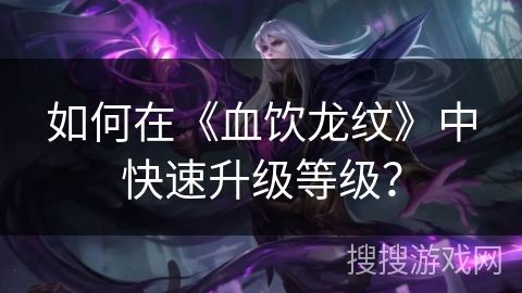 如何在《血饮龙纹》中快速升级等级？