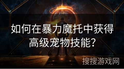 如何在暴力魔托中获得高级宠物技能？