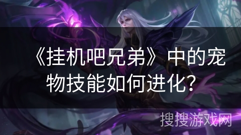 《挂机吧兄弟》中的宠物技能如何进化？