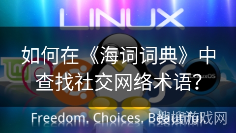 如何在《海词词典》中查找社交网络术语？