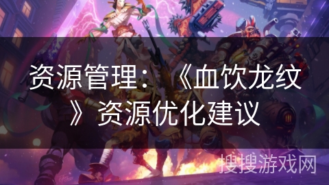 资源管理：《血饮龙纹》资源优化建议