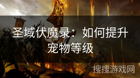 圣域伏魔录:如何提升宠物等级 圣域伏魔录:如何提升宠物等级