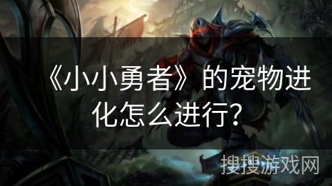 《小小勇者》的宠物进化怎么进行？