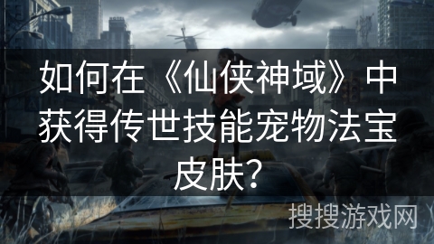 如何在《仙侠神域》中获得传世技能宠物法宝皮肤？