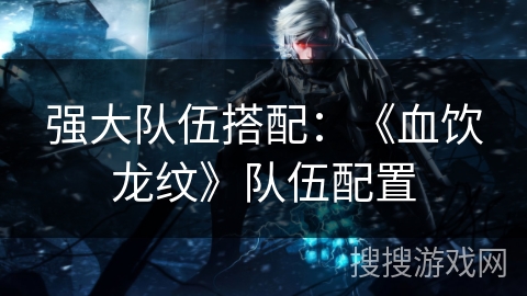 强大队伍搭配:《血饮龙纹》队伍配置 强大队伍搭配:《血饮龙纹》队伍配置