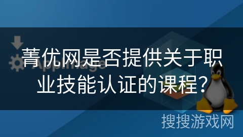 菁优网是否提供关于职业技能认证的课程？